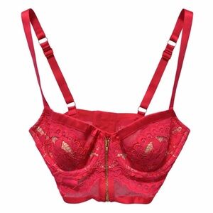 Victoria’s Secret Red Lace Bustier 34C Demi Corset Lingerie Sexy NWOT